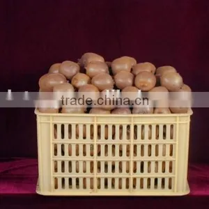 2016 New Crop Chinese Fresh Kiwi Fruits With Good Quality thumbnail-5