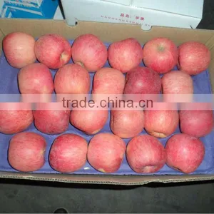 Fresh China Deicious Apple/low Price thumbnail-1