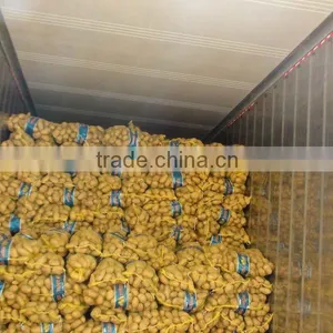 Potato Crop 2011 thumbnail-1