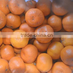 Mandarin Orange Sacs in Water of 3kg Tin 60% thumbnail-2