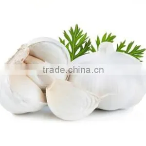 Hot Sale Fresh Chinese Normal White Garlic With Ctn thumbnail-1