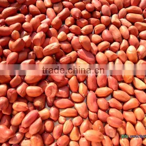 Peanut Kernels thumbnail-1