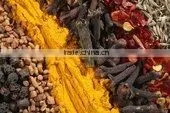 Indian Curry Powder Hot thumbnail-1