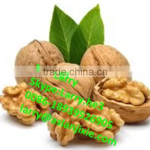 Nut Size Sorting Machine/walnut Size Grader/walnut Size Sorter thumbnail-5