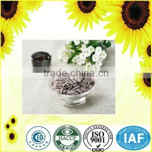 Export Big Size Chinese Sunflower Seeds thumbnail-4