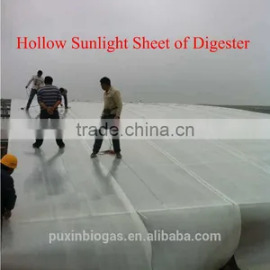 Puxin Large Size Assembly Biogas System to Convert Organic Waste Into Electricity thumbnail-6