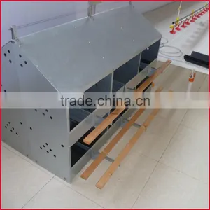 Poultry Farm Automatic Chicken Nest Boxes Sale/Chicken Egg Laying Nests/Egg Laying Nest thumbnail-3