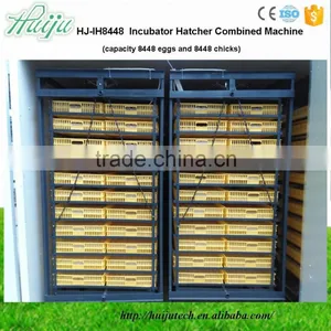 HUIJU 21216 Quail Egg Incubator for Incubator Machine Used Egg Incubator for Sale HJ-IH8448 thumbnail-1