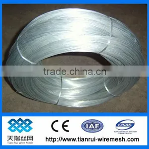 Electro Galvanized Iron Wire /building Material /black Iron Wire thumbnail-1
