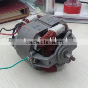 Juice Extractor Motor / Universal Motor / Shaded Pole Induction Motor thumbnail-1