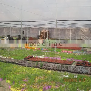 Multi-Span Agricultural Greenhouses thumbnail-4