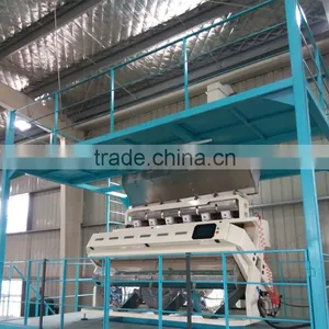 Grain Color Sorter Machinery for Pakistain Rice Processing Mill thumbnail-1