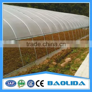 Single-Span Agricultural Planting Plastic Greenhouse thumbnail-2