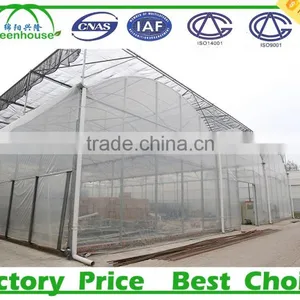 Plastic Greenhouse Agriculture thumbnail-6