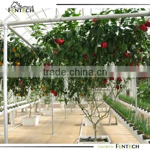 NFT Hydroponics Systems Post thumbnail-1