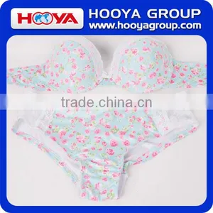 White Sexy Lace Bra Transparent Lace Bra Beautiful Bra Sexy Bra Design thumbnail-6
