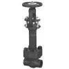 Cryogenic Globe Valve thumbnail-3