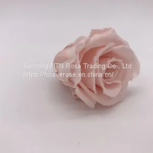 Preserved Rose Flowers for Wedding Decoration Flower Arrangement thumbnail-1
