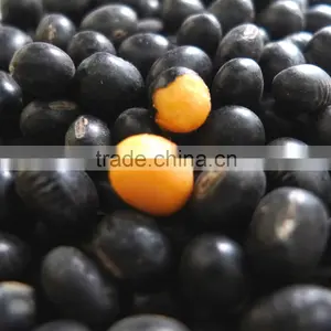 Organic Black Bean (green,yellow Kernel) thumbnail-1