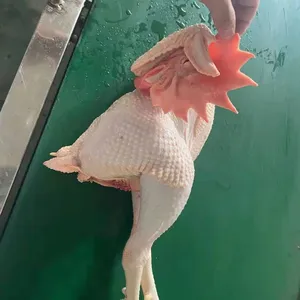 Frozen Whole Sanhuang Chicken Competitive Low Price High Quality thumbnail-1
