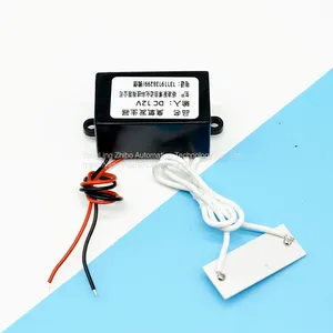 12V-100mg Ozone Generator Ozone Sterilizer Accessories thumbnail-2