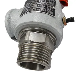 Spring Steam Safety Valve Boiler Air Tank Thread Pressure Relief Safety Valve thumbnail-3