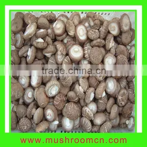 Hot Sale Fresh Shiitake thumbnail-1