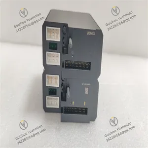 Emerson CE4005S2B4 Digital Input Module thumbnail-2