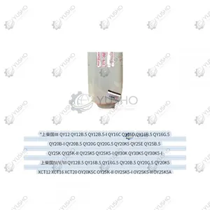 Filter Element 860122988 for XCMG Crane Genuine OEM thumbnail-1