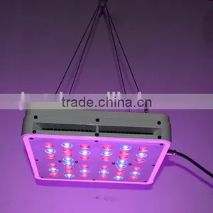 High Power 200W LED Grow Light 3 Years Warranty for Medical Plants thumbnail-6
