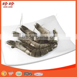 Frozen Shrimp thumbnail-1