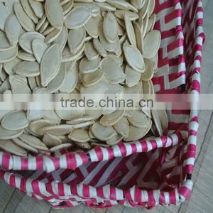 High Quality Shine Skin Pumpkin Seeds 2015 thumbnail-2