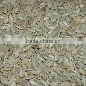 Sunflower Seed Kernels thumbnail-1