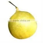 Bergamot Oil thumbnail-1
