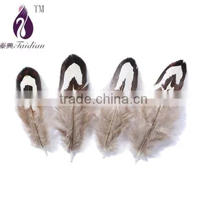 Decorative Feathers Plumage,pheasant Feathers Quality Choice thumbnail-1