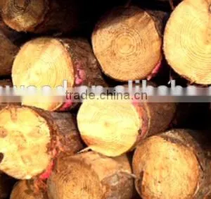 Bed Slats LVL Pine / Birch Wood Logs Hardwood Popular Shandong thumbnail-3