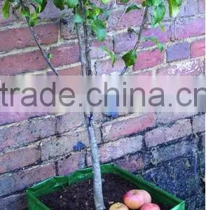 PE Planting Bag, Flowers Planting Bag thumbnail-3