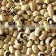 Black Eye Beans thumbnail-1