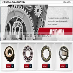 Hot Sale Bearing High Performance Stainless Steel Bearing and Plastic Bearing thumbnail-6