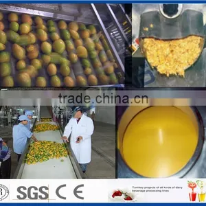 Complete Set of Mango Juice Production Line thumbnail-3