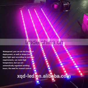 Shenzhen XQD 2015 Power Greehouse XQD Professional 12W Led Grow Light thumbnail-3