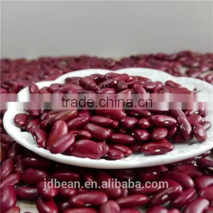 RED DARK KIDNEY BEAN Rajma HPS 200-220PCS/100G thumbnail-1