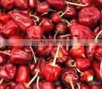 Round Red Chilles thumbnail-1