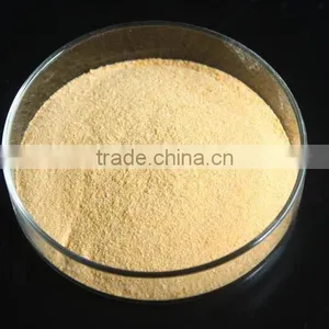 Soya Protein Peptide to Prevent Cardiovascular Disease thumbnail-1
