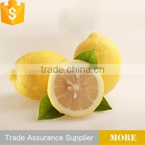 Lemons in Bulk for Export thumbnail-1