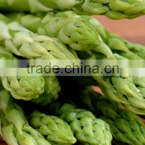 Frozen Asparagus thumbnail-2
