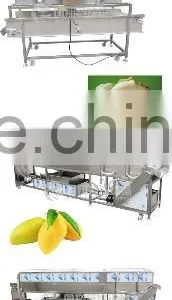 Commercial Automatic Stainless Melon Separating Watermelon Separator Pumpkin Melon Cutting Machine thumbnail-5