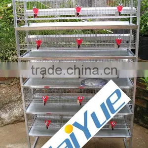 TAIYU Quail Cage For Kenya Farms thumbnail-1