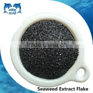Seaweed Extract Flake Fertilizer thumbnail-1