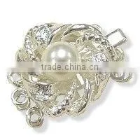 CLASP thumbnail-1